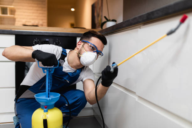 Best Residential Pest Control  in Oblong, IL