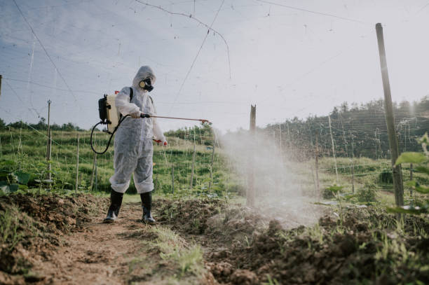 Best Best Pest Control Companies  in Oblong, IL
