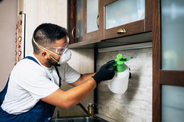 Best Pest Removal Services  in Oblong, IL