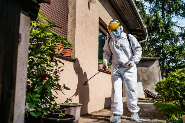 Best Rodent Control Near Me  in Oblong, IL