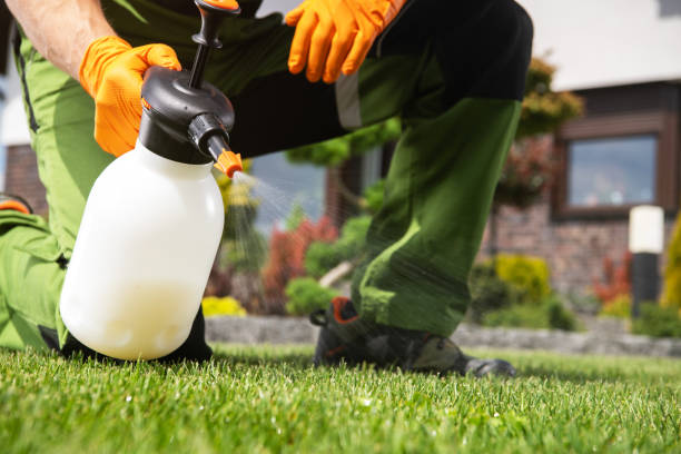 Best Rodent Control Near Me  in Oblong, IL