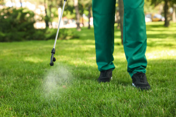 Best Termite Control Services  in Oblong, IL