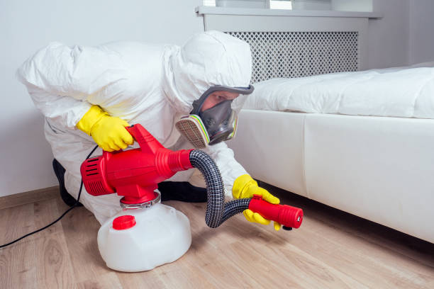 Best Cockroach Control Services  in Oblong, IL