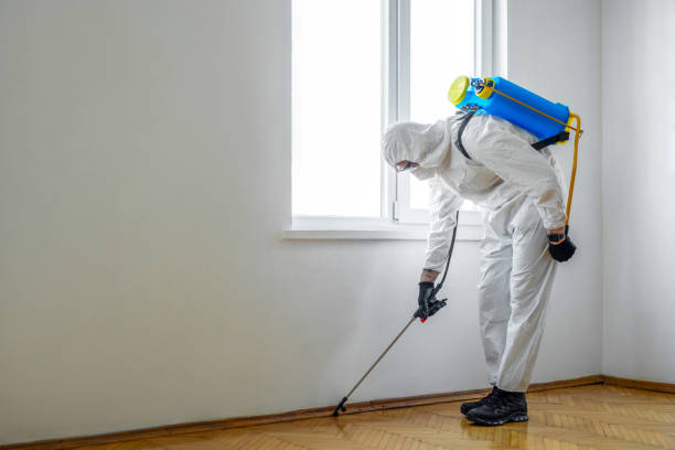 Best Pest Removal Services  in Oblong, IL