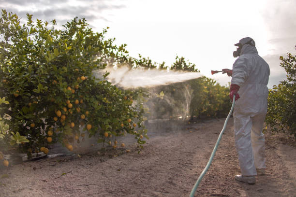 Best Flea Control Services  in Oblong, IL