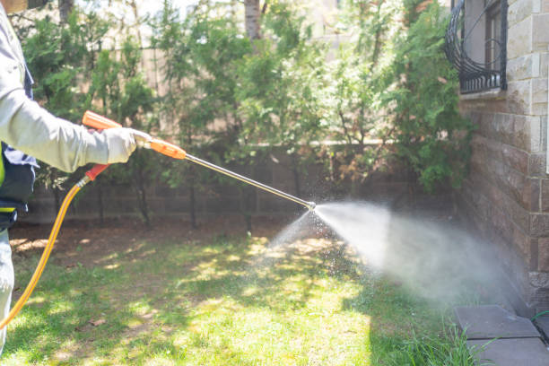 Best Rodent Control Near Me  in Oblong, IL