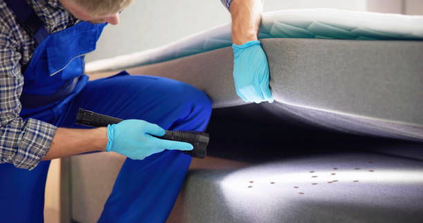 Best Ant Control Services  in Oblong, IL