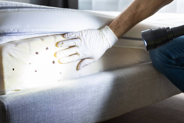 Best Pest Inspection Near Me  in Oblong, IL