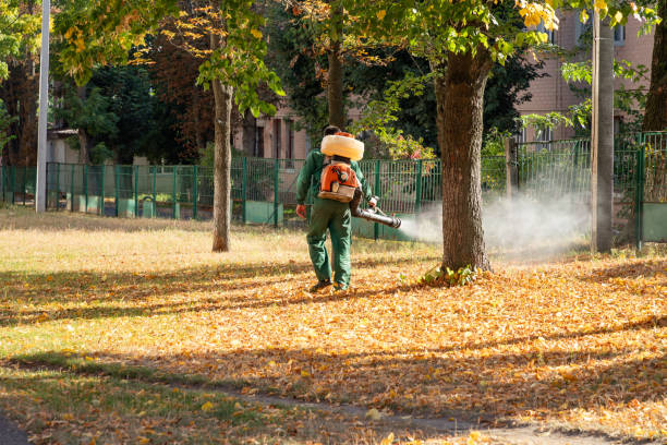 Best Bed Bug Extermination  in Oblong, IL