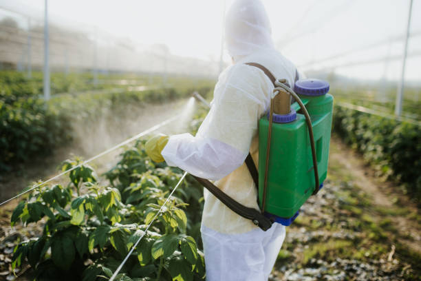 Best Local Pest Control Services  in Oblong, IL